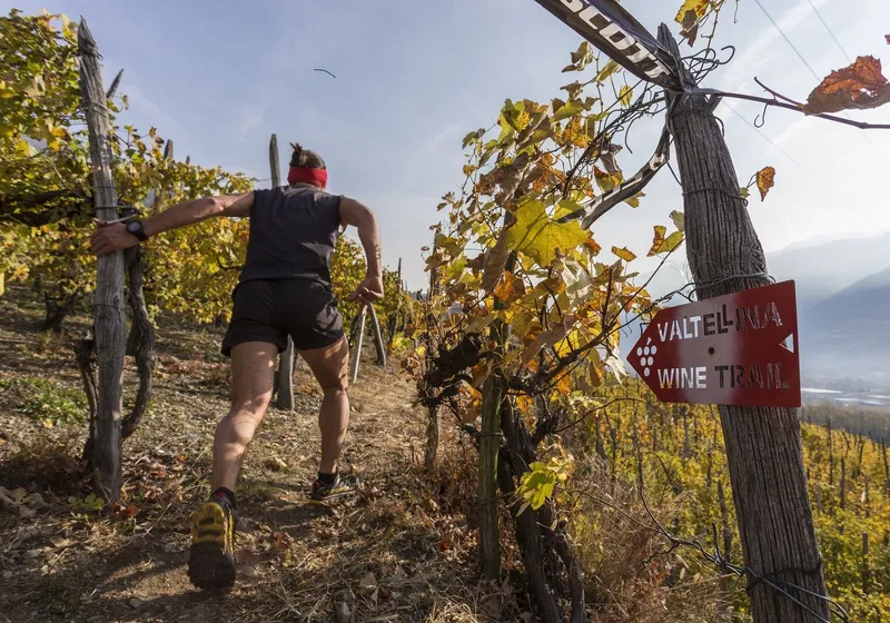 VALTELLINA WINE TRAIL 2018