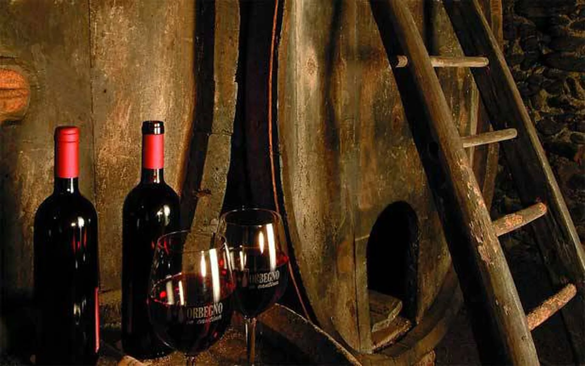 Morbegno in cantina 2018
