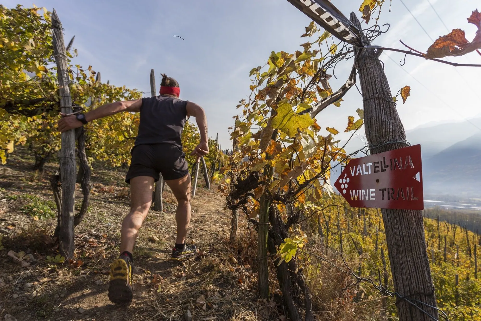 VALTELLINA WINE TRAIL 2018